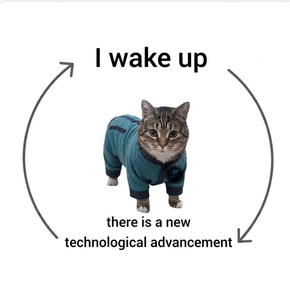 Meme: a cat in pyjamas inside a loop of arrows reading "I wake up" and "there is a new technological advancement".